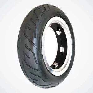 PNEU DUALTRON VICTOR TUBELESS AVEC BANDE ANTICREVAISON