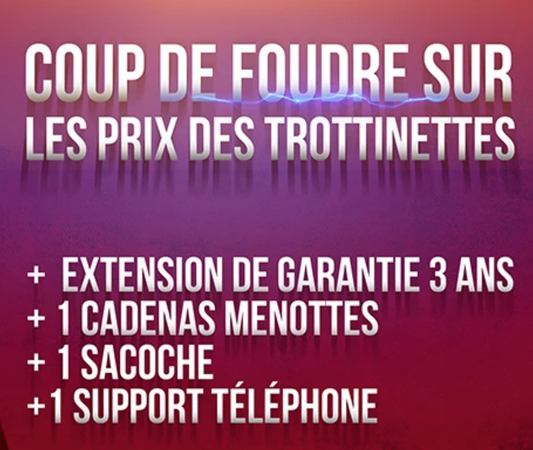 Garantie 3 ans| Antivol | Sacoche | Support Tel | Valeur 500 € (offert)