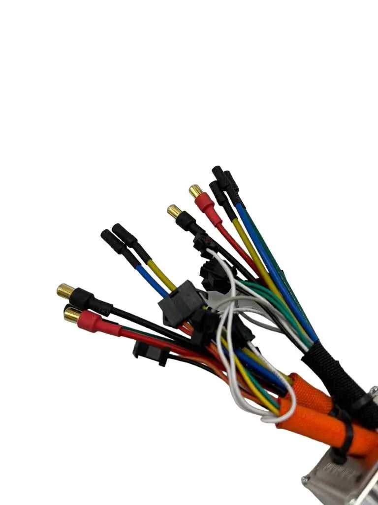 Contrôleur Dualtron Victor Luxury Mini Motors